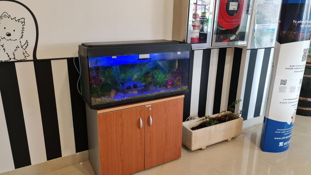 科雷利亚镇酒店 科雷拉 外观 照片